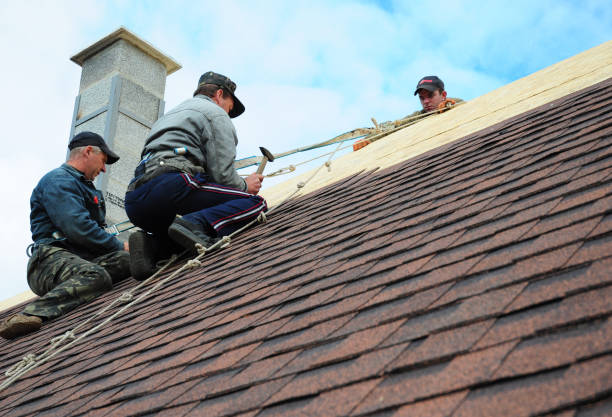 Roof Gutter Cleaning in Sunnyside, WA